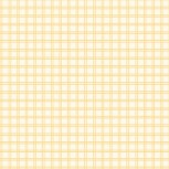 Winnie the Pooh Baby